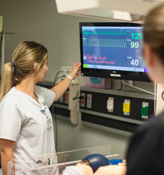 Nurse checking vital signs on a screen