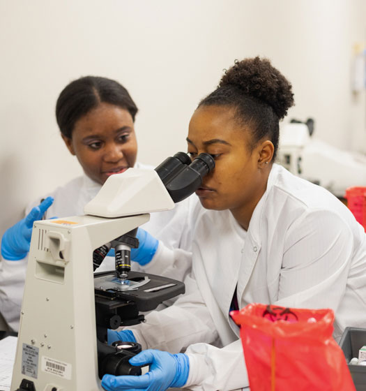 Student using a microscope