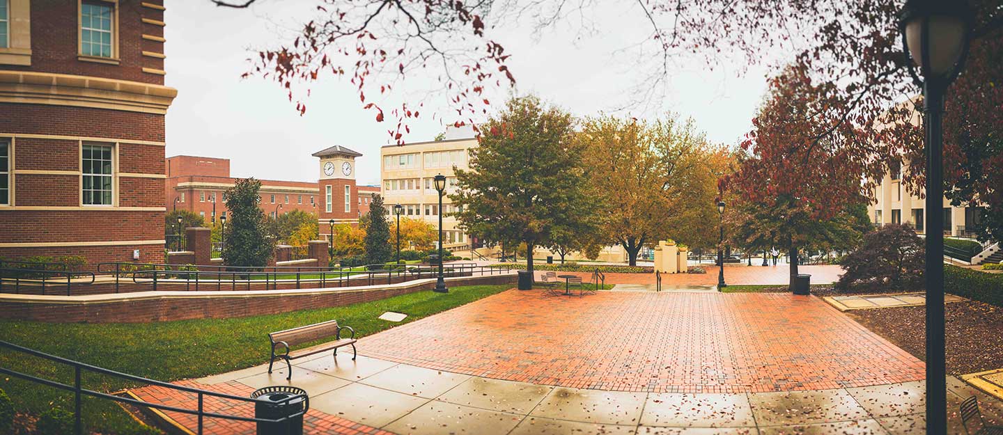 view of Central Campus in fall