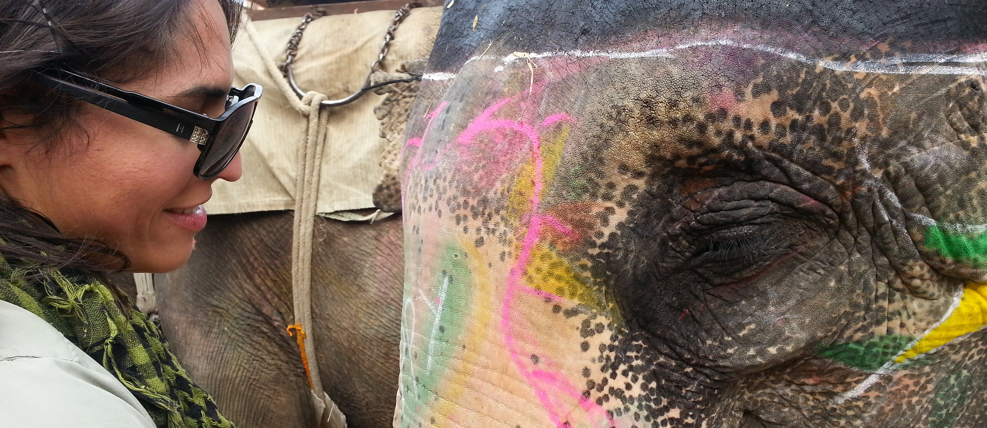 student studying abroad in India with elephant