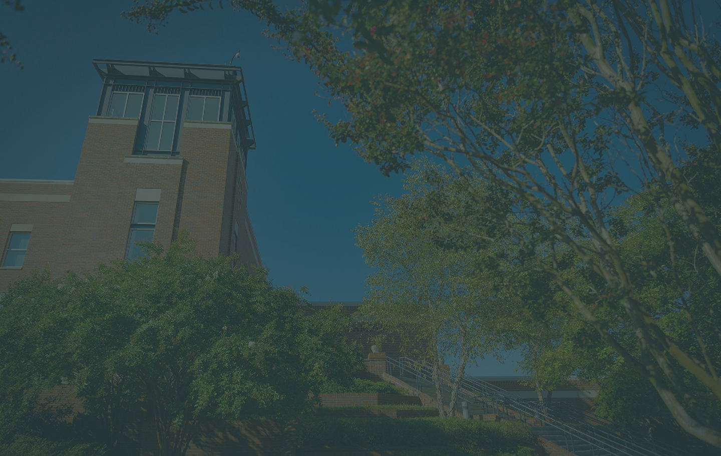 looking up at tower on Harper Campus with trees