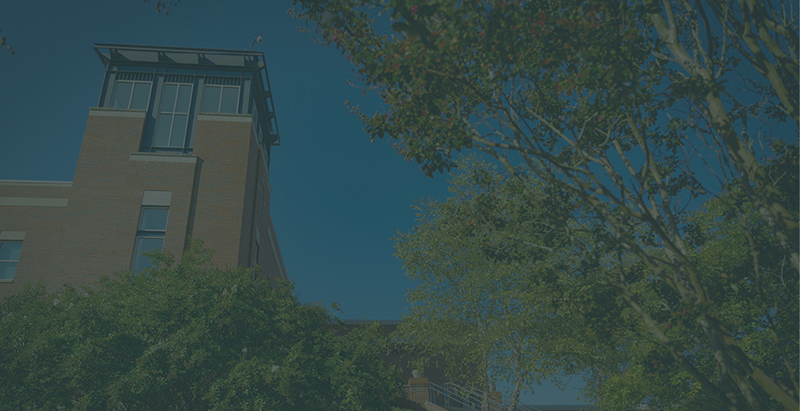 looking up at tower on Harper Campus with trees