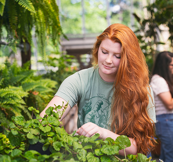 horticulture student tending plants in a greenhouse