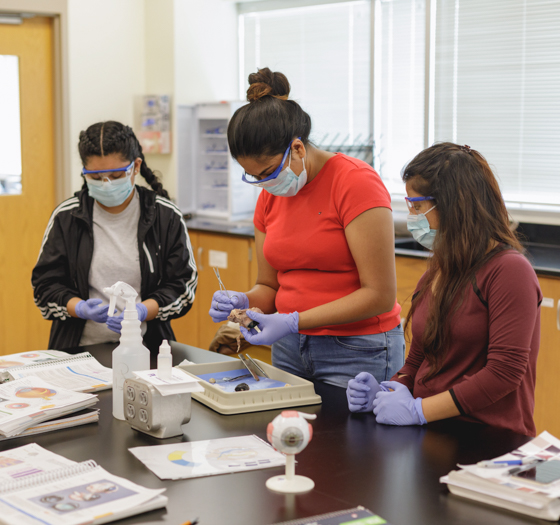 students in masks and safety glasses studying eyes in a science lab