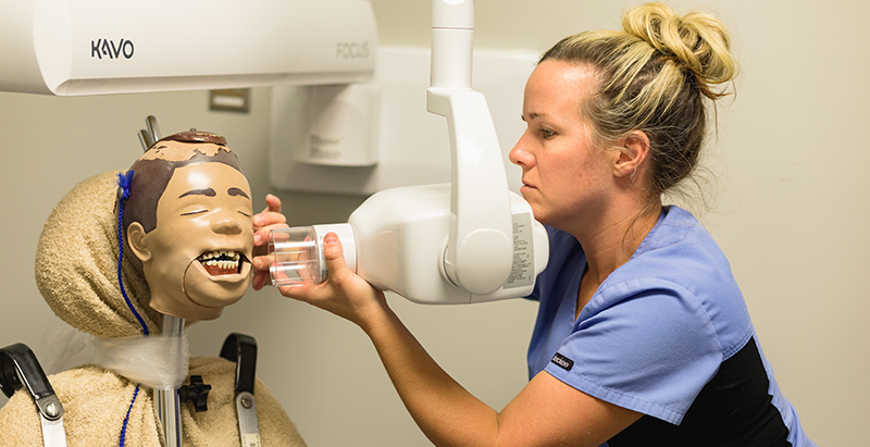 Central Piedmont dental student preparing practice dummy for dental xray