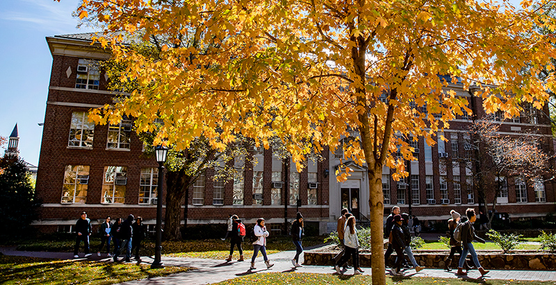 sudents walking outside a Chapel Hill classroom building under a fall tree on a sunny day