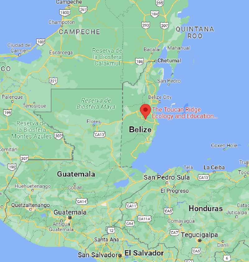 Map of Belize with a pin showing T.R.E.E.S. location