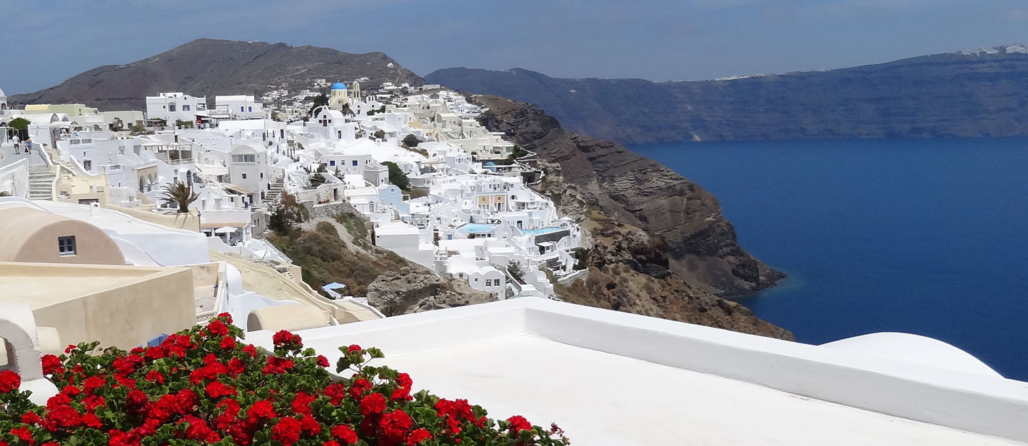 Coastline of Greece showing white buildings and red flowers