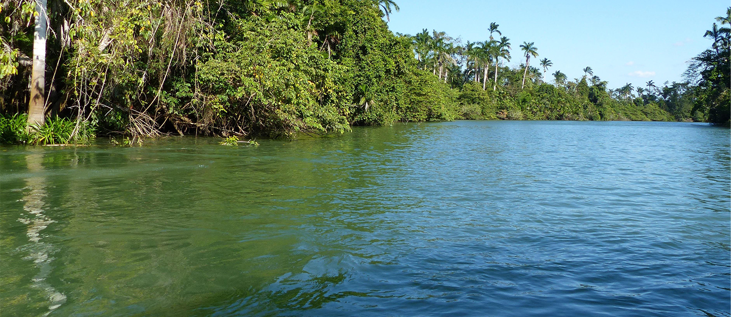 Belize marine ecology