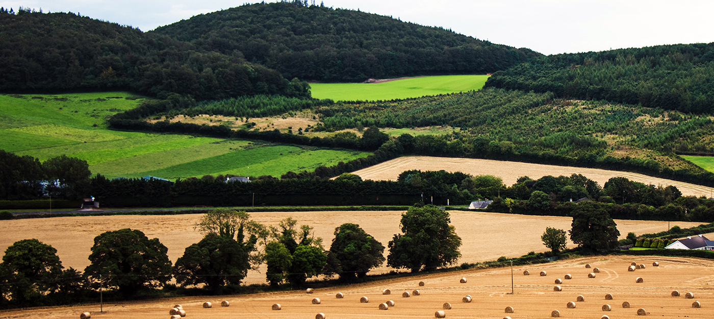 Green fields of Ireland's countryside