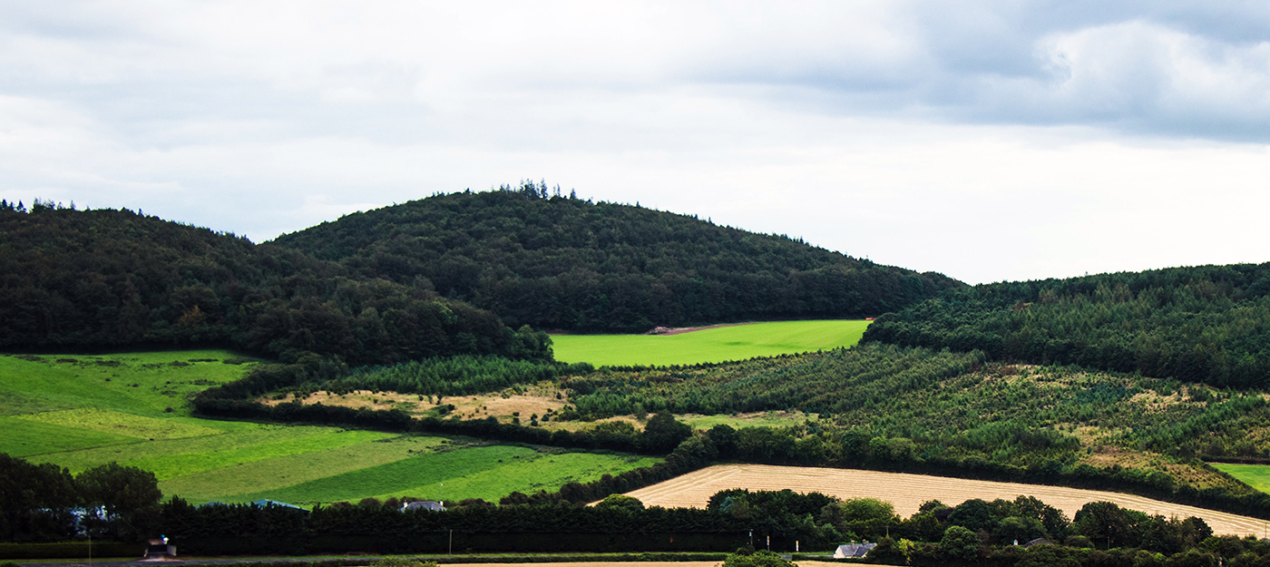 Green fields of Ireland's countryside