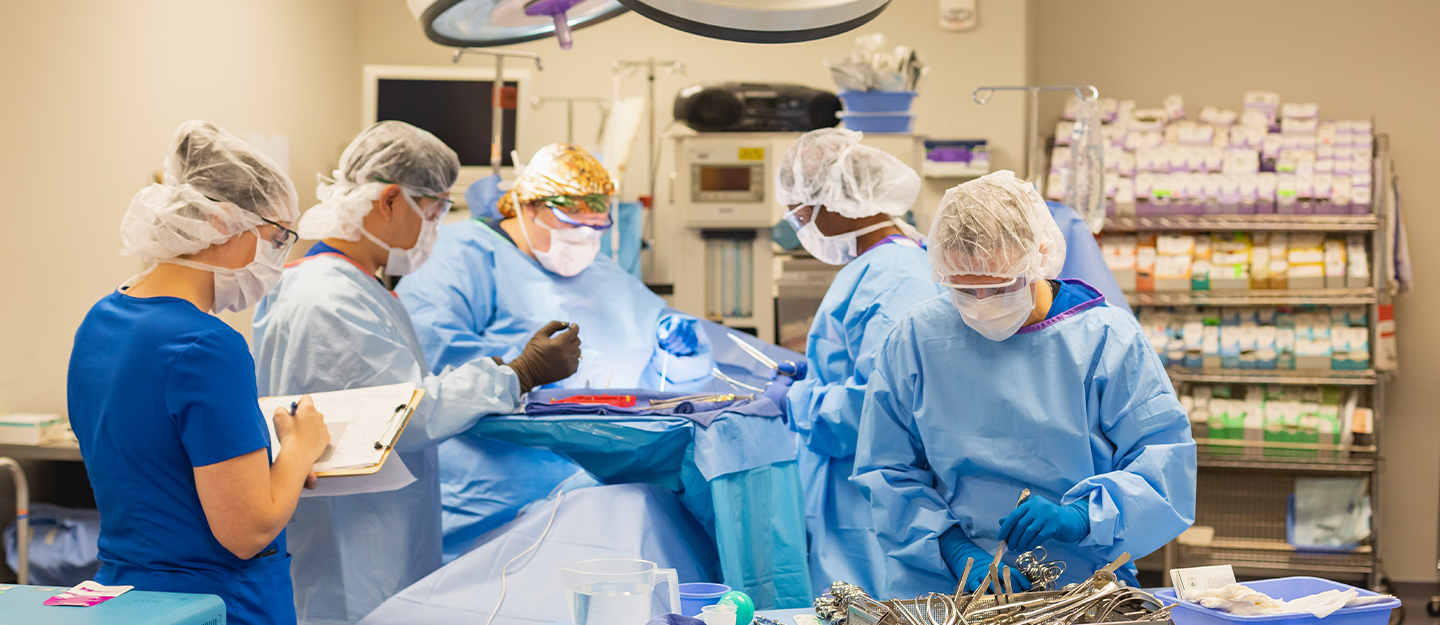 Healthcare students in training using tools in surgery 