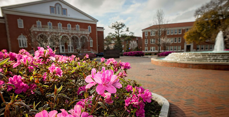 East Carolina Pirate Promise - Campus in the Spring