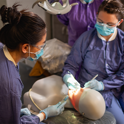 Dental hygienist working on a mannequin  
