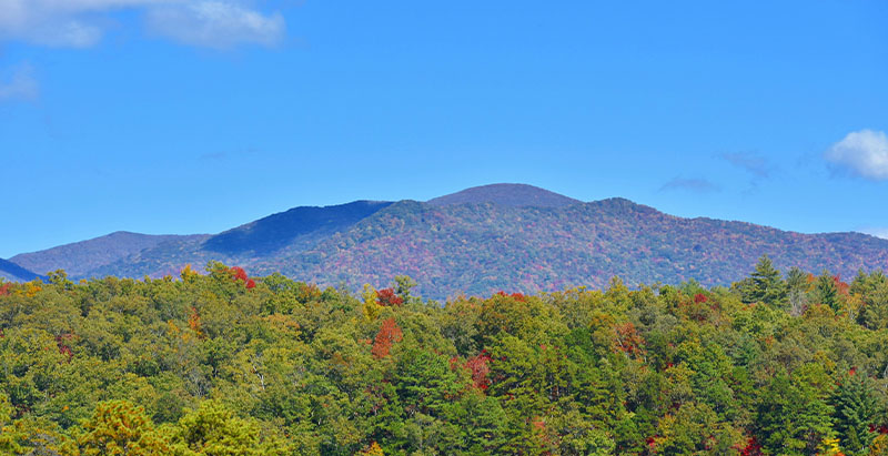 Smokey Mountains with fall foliage