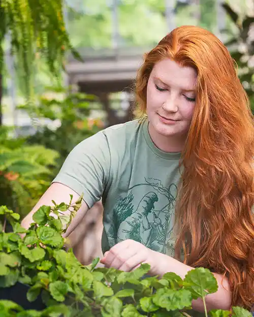 horticulture student handling plants in the greenhouse on Cato Campus at Central Piedmont Community College