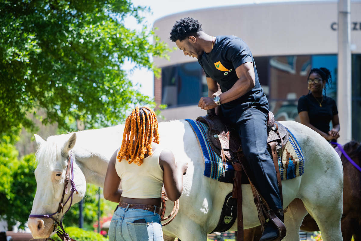 Student riding a therapy horse during the Counseling on the Green event