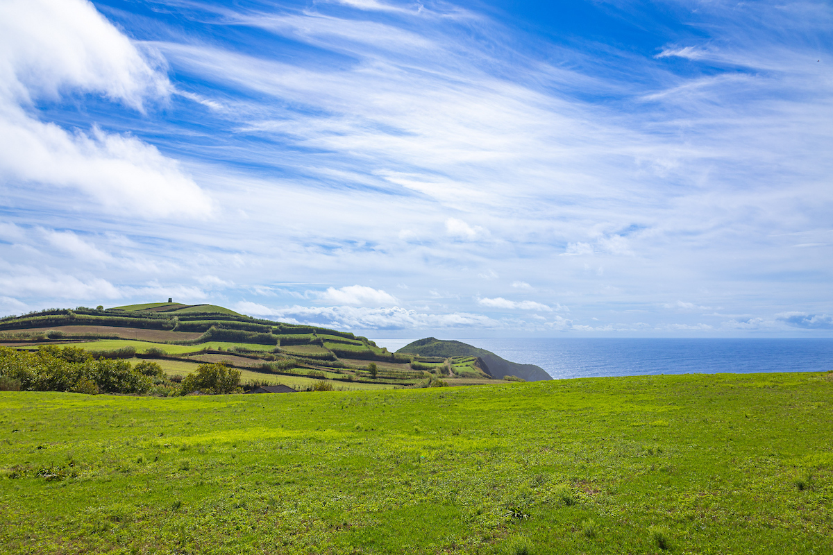 Grassy landscape on top of a cliff in Portugal, which was a Central Piedmont study abroad destination