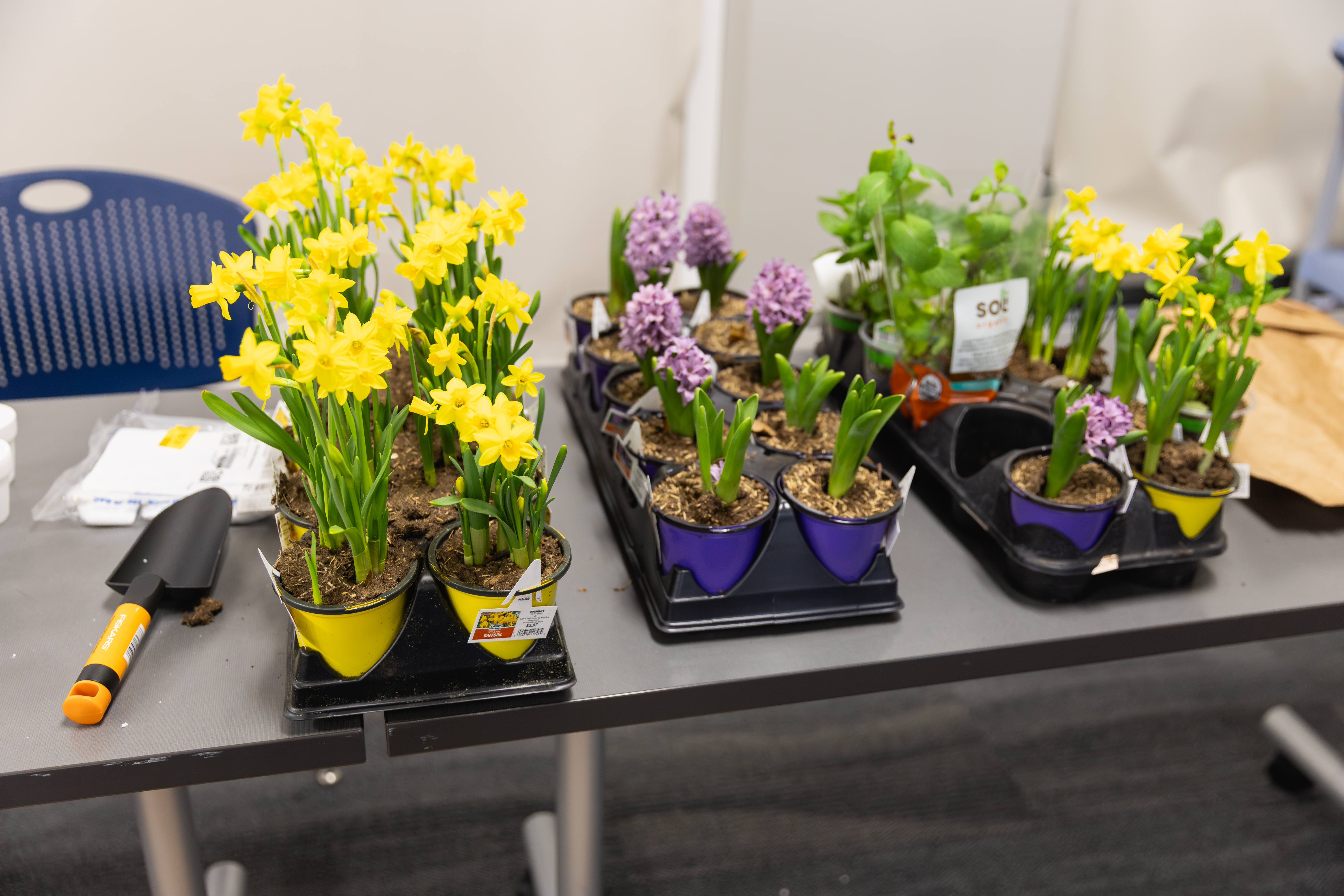 Flower arrangements