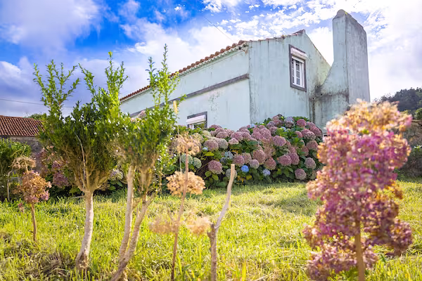 Lush landscaping outside a structure visited during a Central Piedmont study abroad trip to Portugal