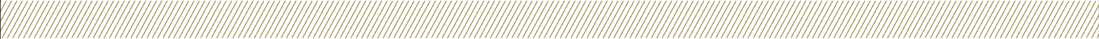 Icon for divider_section