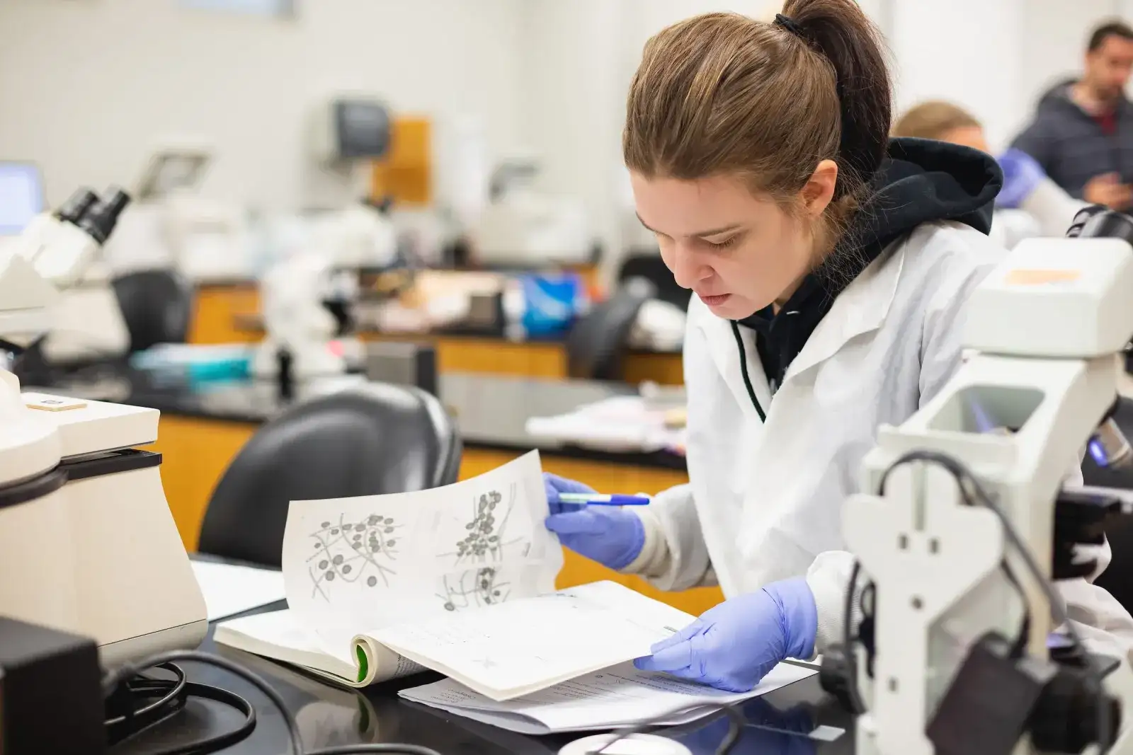 Biology student examining specimens beside a microscope in the lab