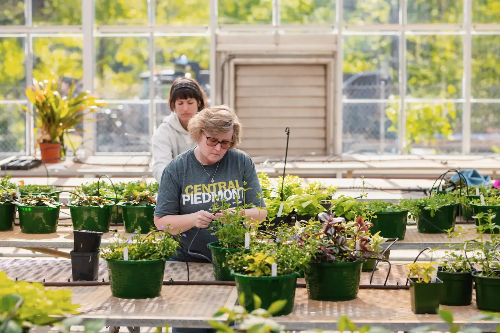 Horticulture degree