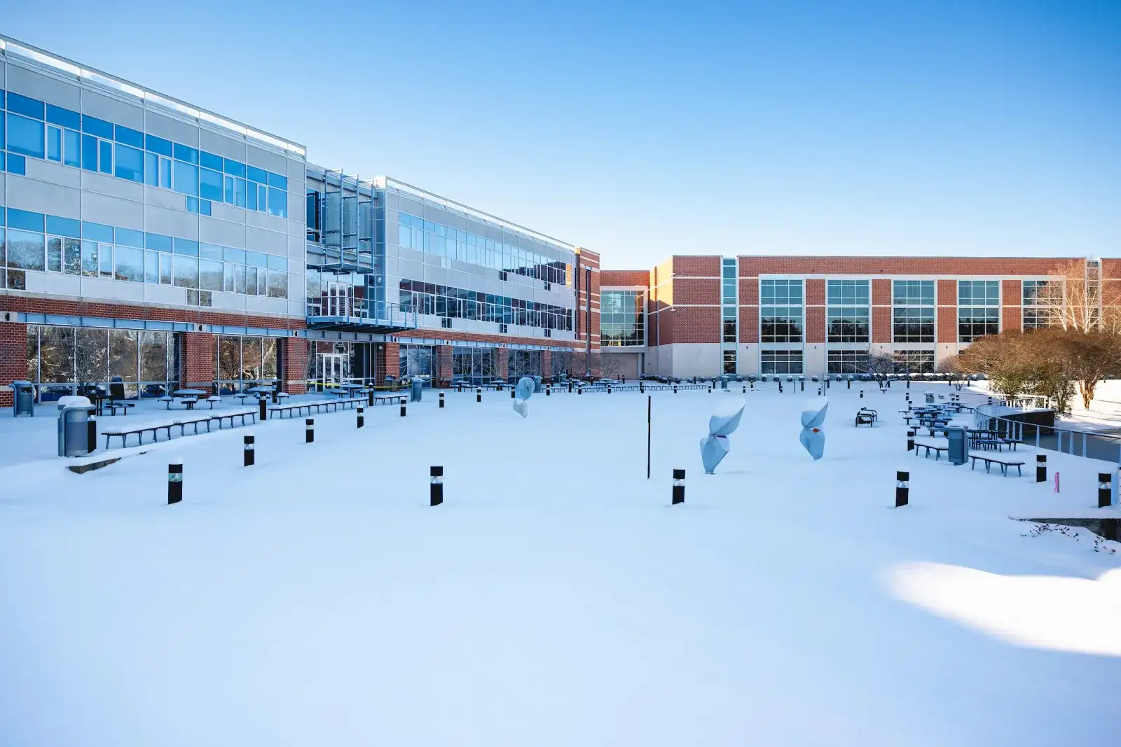 Levine winter snow