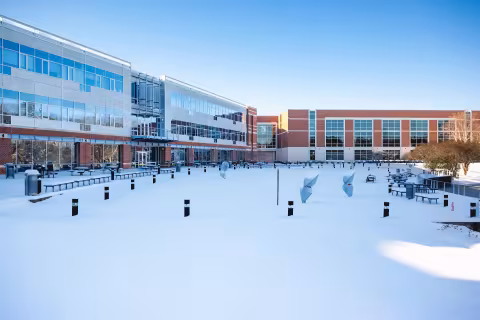 Levine winter snow
